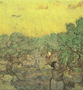 Olive Grove with Picking Figures