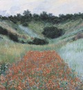 Poppy Field in a Hollow near Giverny [1885]