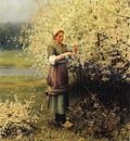 Knight Daniel Ridgway Spring Blossoms