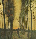 Avenue of Poplars at Sunset