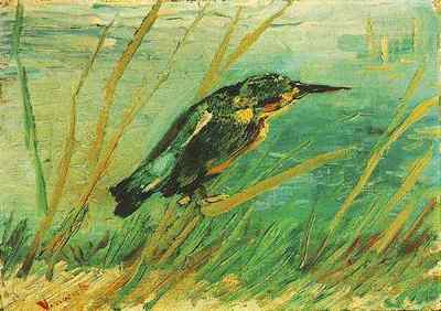 Kingfisher, The