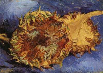 two cut sunflowers version