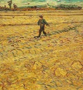 sower, the version