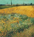 Wheat Field with the Alpilles Foothills in the Background