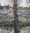 Orchard in Blossom with View of Arles