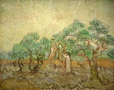 olive picking version