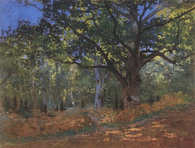 Le Bodmer Oak, Forest of Fontainebleu [1865]