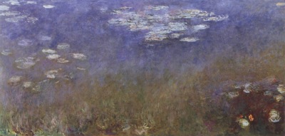 Agapanthus