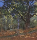 Le Bodmer Oak, Forest of Fontainebleu [1865]