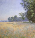 Oat and Poppy Field [1890]