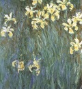 Yellow Irises [1914 1917]