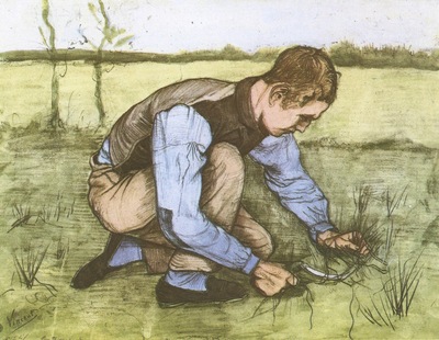 boy cuts grass with a sickle