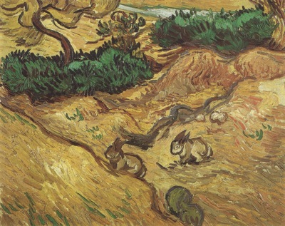 field with rabbits, saint remy
