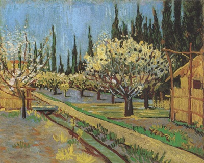 flowering orchards, surrounded by cypress, arles