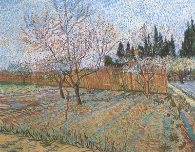 orchard with peach blossom, arles