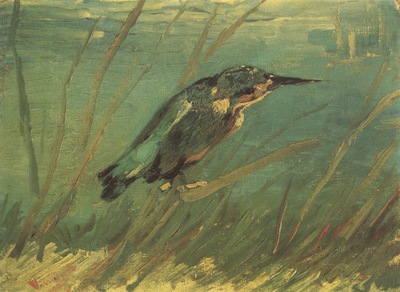 the kingfisher, paris