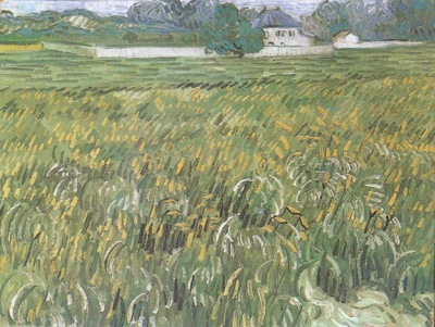 Wheatfield with White House in the Background, Auvers sur Oise