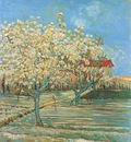 orchard in blossom, arles