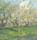 orchard in blossom, arles