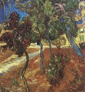 trees in the garden of the saint pauls hospital, saint remy