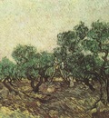 olive harvest, saint remy