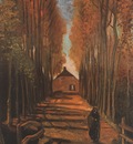 avenue of poplars in autumn, nuenen