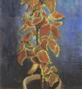 coli in a vase, paris