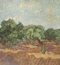 olives, pale blue sky, saint remy