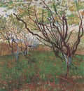 orchard in blossom, arles