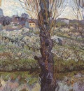 orchard in blossom with view of arles, arles
