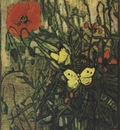 poppy and butterflies, saint remy