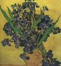 still life vase with irises, saint remy