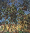 trees in the garden of the saint pauls hospital, saint remy