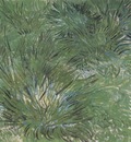 tufts of grass, arles
