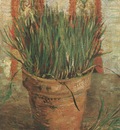 vase with chives, paris