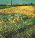 wheatfield with the alpilles foothills in the background, arles