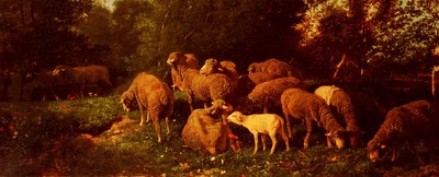 Jacque Charles Emile Les Moutons Dans Le Sous Bios