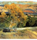 ls Sorolla 1906 El arbol amarillo La Granja