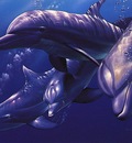 crl DolphinQuestI