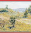 AdamsJOttis SandHill Leland We