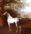 Agasse Jacques Laurent White Horse in Pasture