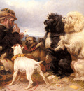 Ansdell Richard The Lucky Dogs