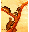 bs na Audubon Florida Rat