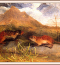 bs na Audubon Mexican Marmot Squirrel
