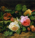 Backhuyzen Sande van de Gerardine Roses Sun