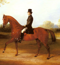 Barraud Henry Richard Paget Of Cropston Leicester On A Bay Hunter
