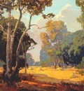 bischoff summer, a california woodland