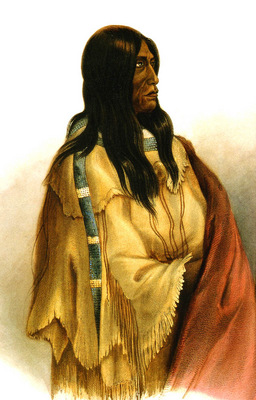 Kb 0025 Woman of The Snake Tribe KarlBodmer, 1832 33 sqs