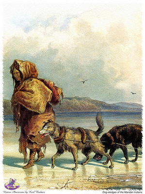 sharper native americans swd