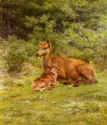 Bonheur Rosa Doe And Fawn In A Thicket
